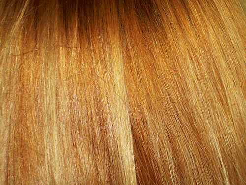 hair-1-1435520-1279x959-500px